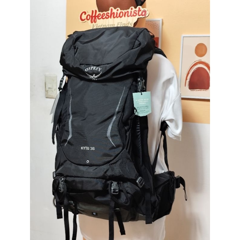 patagonia summer sleeping bag Fitz Roy 30º F / -1º C Leather Alternative Mini Bag Missing Color:Randy Red
