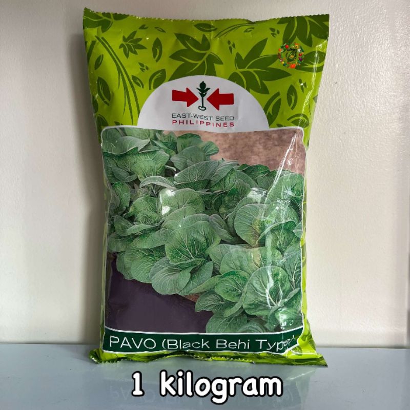 PAVO (BLACK BEHI TYPE) EAST WEST PECHAY QUALITY VEGETABLE SEEDS ...