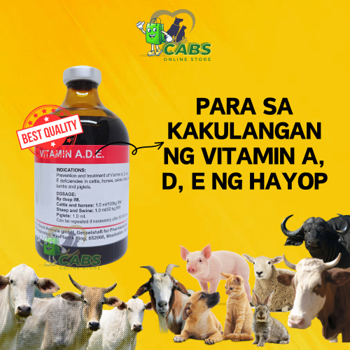 VITAMIN ADE | INJECTION | FOR ANIMALS | 100ml plus 1ml syringe | Shopee ...
