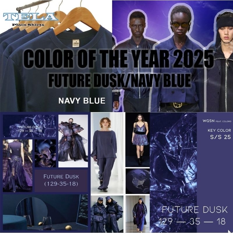 2025 COLOR OF THE YEAR FUTURE DUSK/NAVY BLUE Shopee Philippines