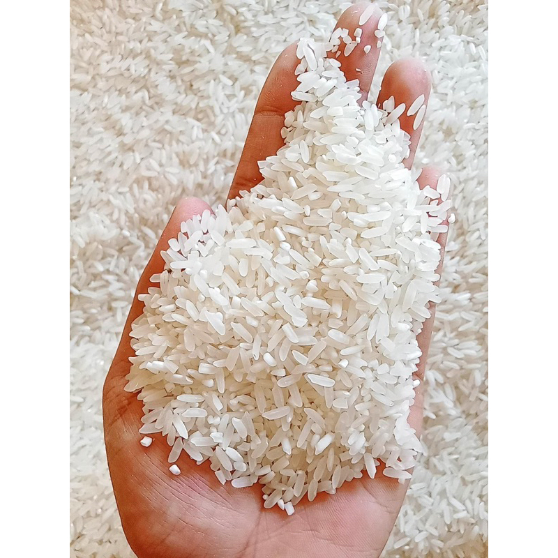 BUKO PANDAN SUPER ANGELICA RICE 25KG (PREMIUM QUALITY RICE) | Shopee ...