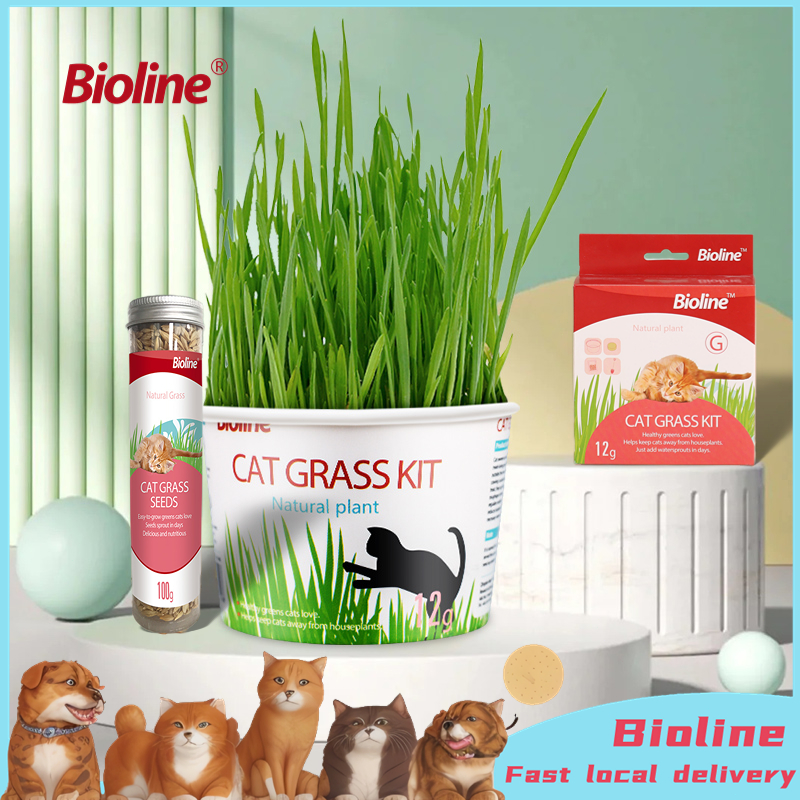 Bioline cat grass store kit