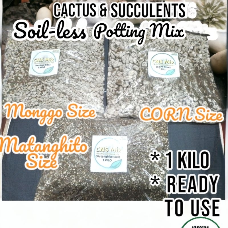 SOILLESS Fast Draining Ready to use Cactus & Succulent Potting Mix 1