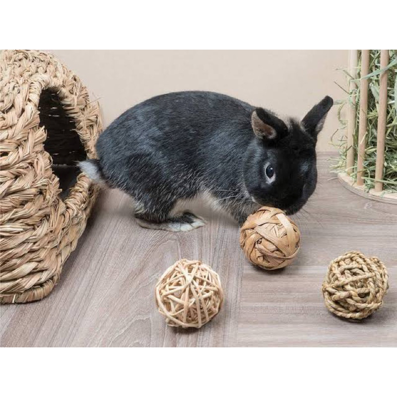 Niteangel Woven Activity Grass Ball Chew Toy for Rabbits, guinea pigs