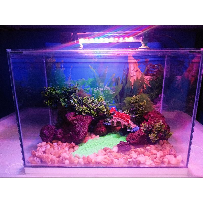fishkeeper 8L Mini Aquarium Complete Set