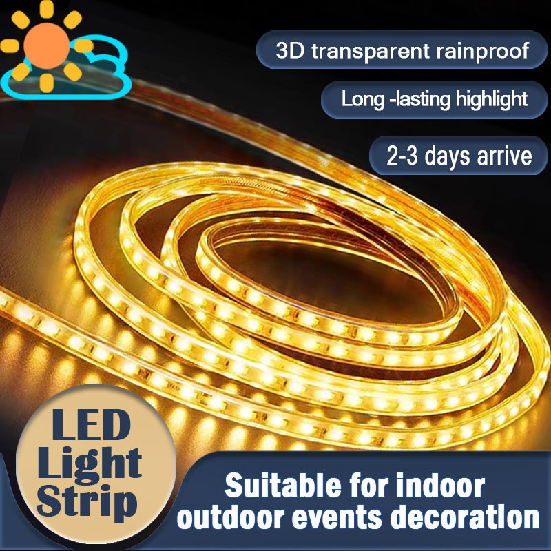 Led strip light 220v for ceiling indoor and outdoor Christmas