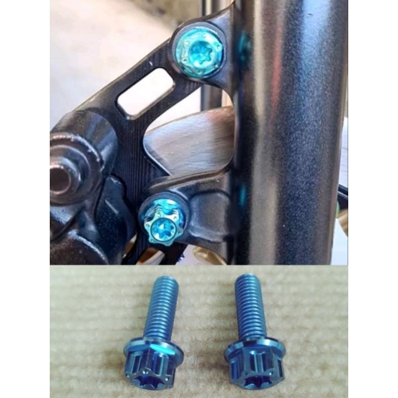 Titanium Gr5 8x25 Caliper Bolts (2pc) Raiderfi,Click,Beat,Wave,Adv ...