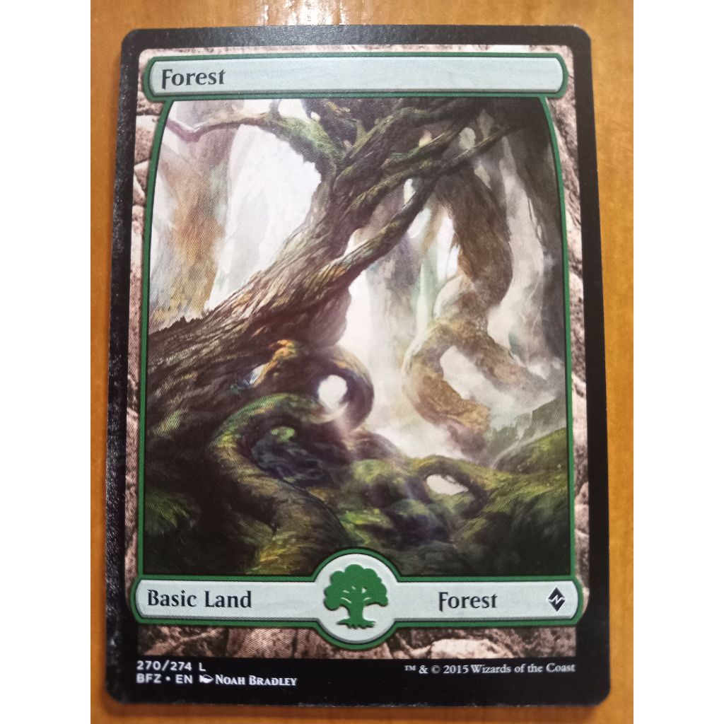 Magic: The Gathering – Forest Land Card (272/274) From Battle For Zendikar Set | Basic Land – Green Mana Source - View #4