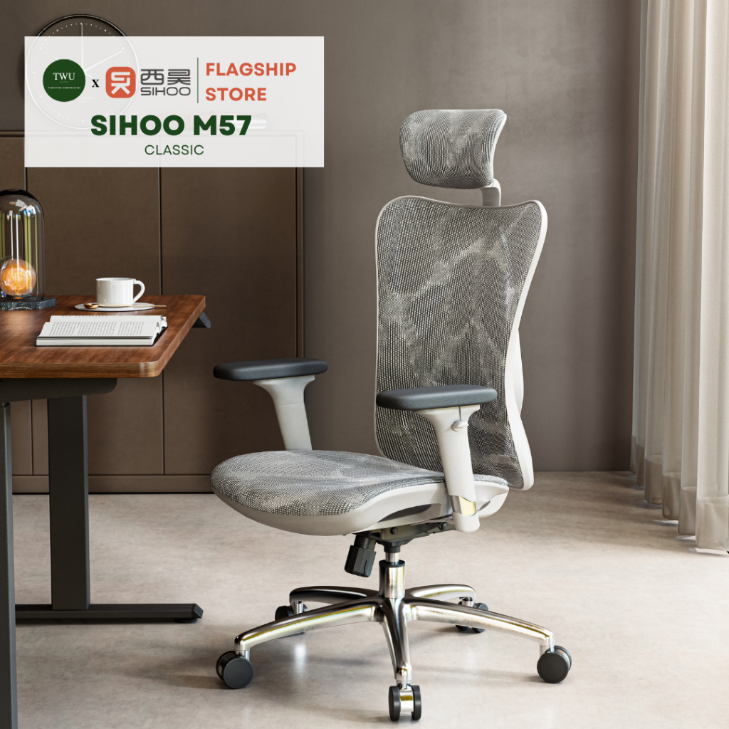 SIHOO M57 Ergonomic Office Chair Desk - (Grey Frame with Grey Mesh