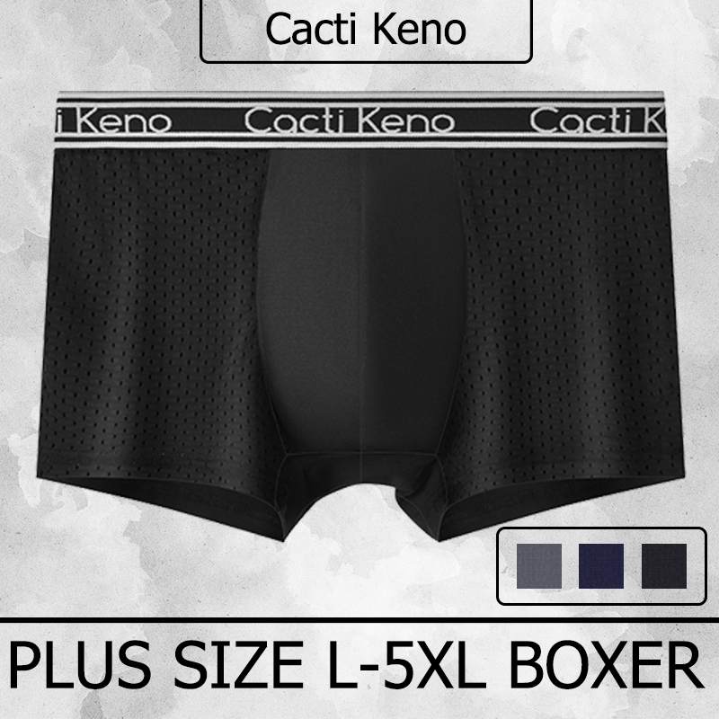 Boxer Brief for Men Men's Mesh Underwear Breathable Men's Underwear Ice