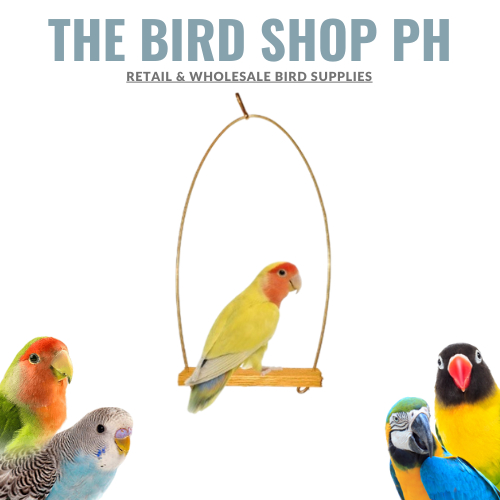 The Bird Shop PH Wooden Parrot lovebirds Bird Swing Wire Type Birdy ...
