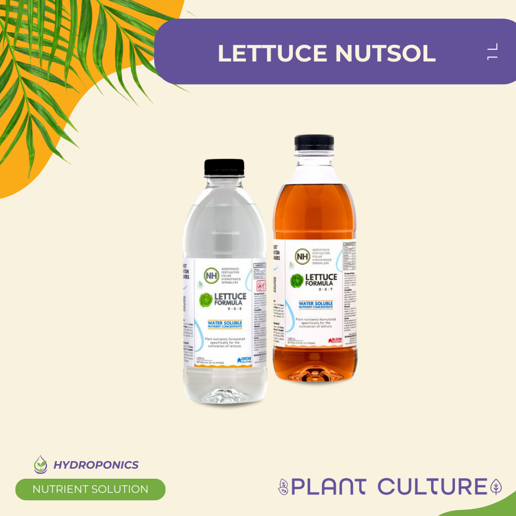 Lettuce Nutsol | NutriHydro Nutrient Solution Concentrate 500ml & 1L ...