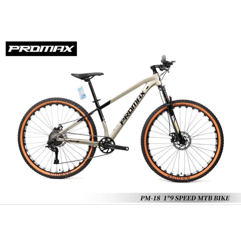 PROMAX PM18 29er 1 9 SPEED ALLOY FRAME WITH 5 FREEBIES Shopee Philippines