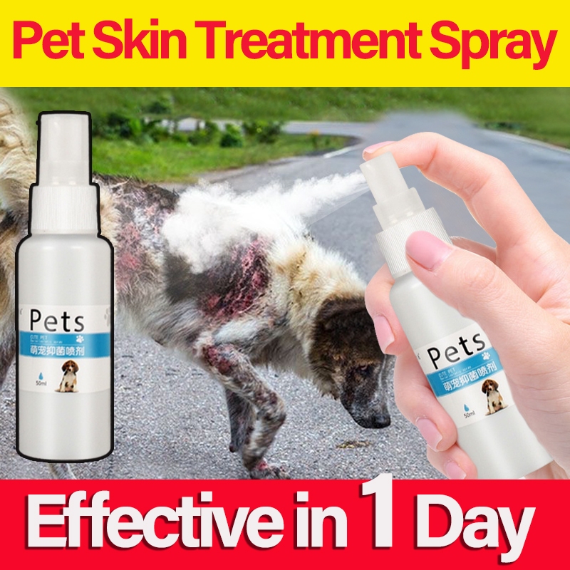 Pet Skin Treatment For Dogs Pet Anti Fungal Spray Dog Skin Disease