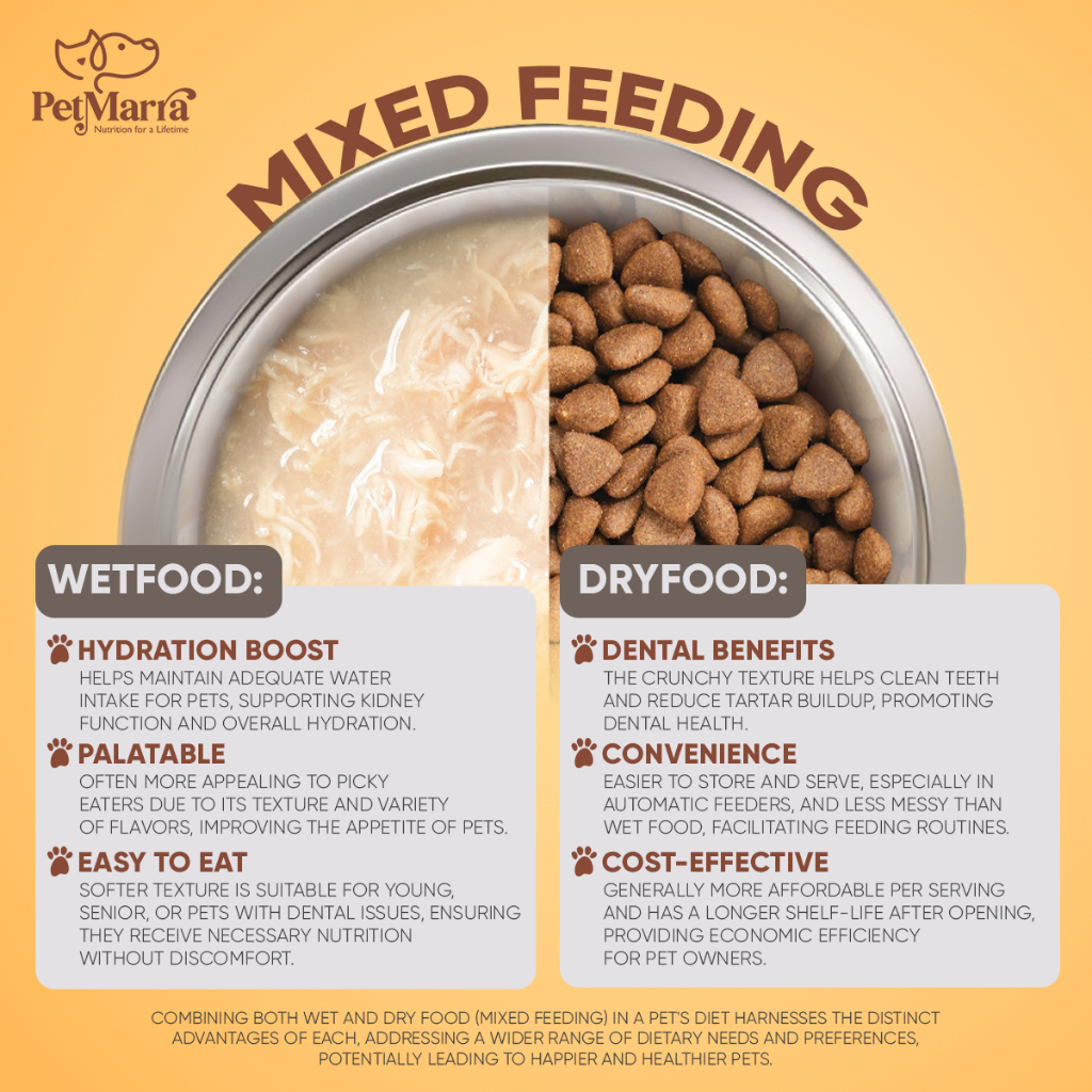 Is mixing wet and dry dog food good best sale