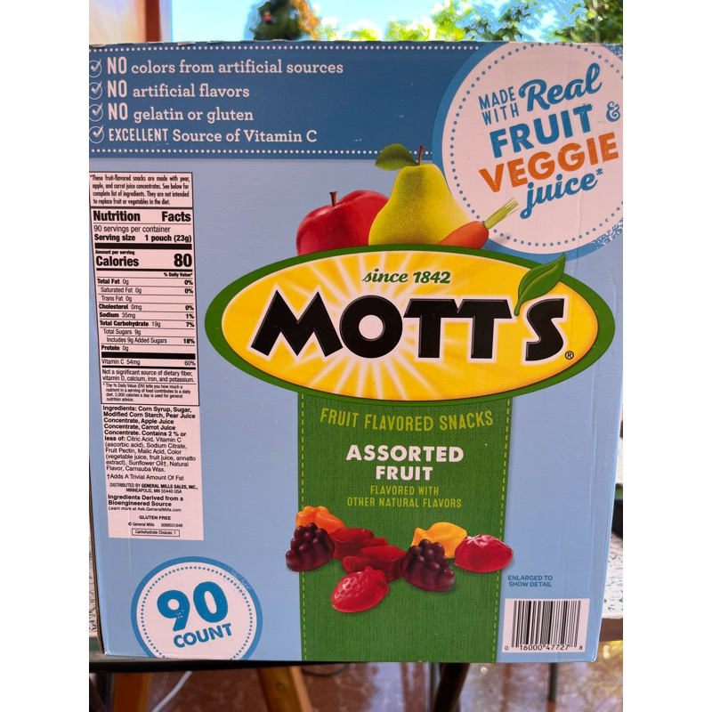 🇺🇸 Mott’s Fruit Flavored Snacks (90 pouch) Shopee Philippines