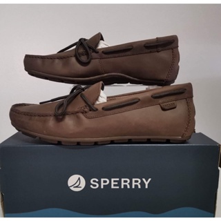 sperry shoe - Best Prices and Online Promos - Men's Shoes Jan 2024