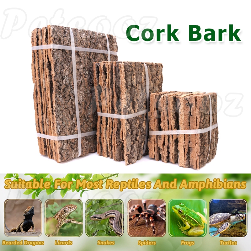 Natural champagne Cork bark Wood hiding cave for tarantula reptile ...