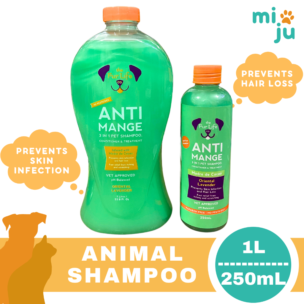 Mange treatment shampoo best sale