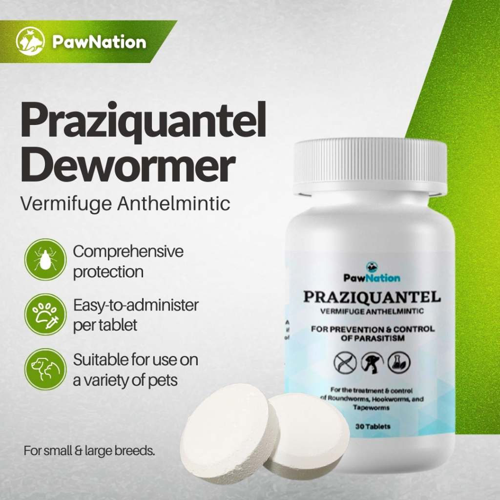 PawNation Praziquantel Dewormer Tablet for Adult Dog Puppy Pet