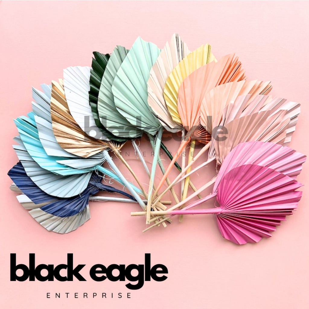 Premium Dried Palm Spear I Dried Anahaw Leaves I Colored | Shopee ...