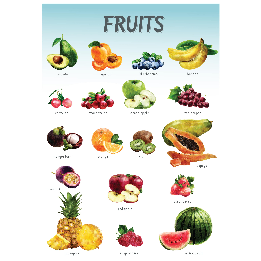 Fruits, Vegetables charts | Shopee Philippines