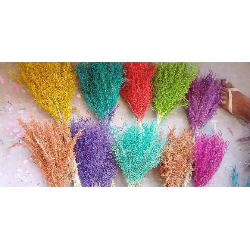 Dried Misty rice per bundle | Shopee Philippines