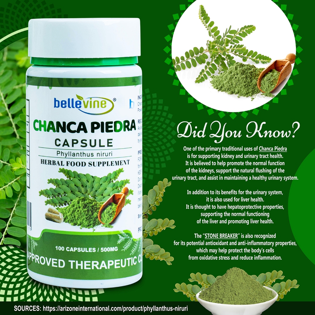 Bellevine Chanca Piedra Organic Capsule (Phyllanthus Niruri ) for ...