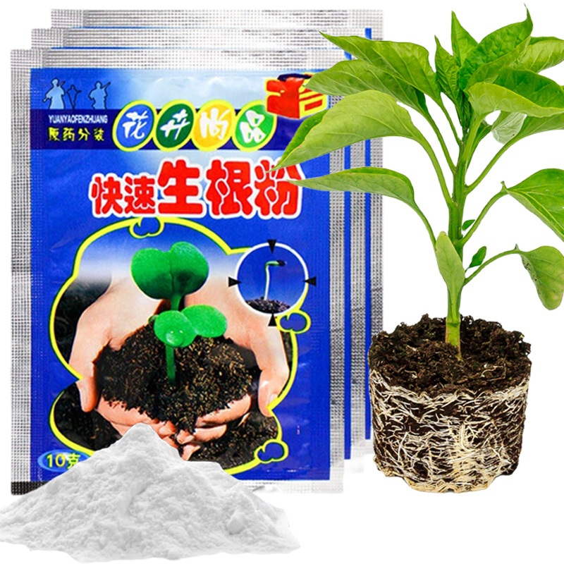 Rooting Powder Rapid Growth Root Medicinal Hormone Regulators for ...