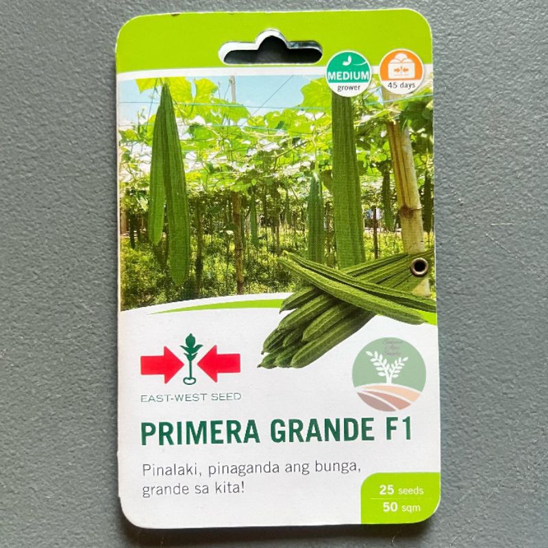 PRIMERA GRANDE F1 EAST WEST HYBRID PATOLA VEGETABLE SEEDS SMALL PACK ...