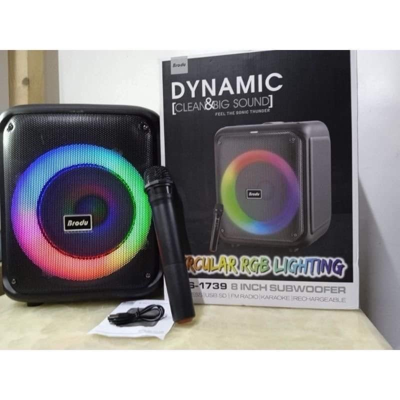 Brudo BTS-1739 bluetooth karaoke speaker with RGB dynamic lighting ...