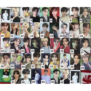 ディノ An ode トレカ セブチseventeen SEVENTEEN セブチ ディノ an ode トレカ 20枚 コンプ セット