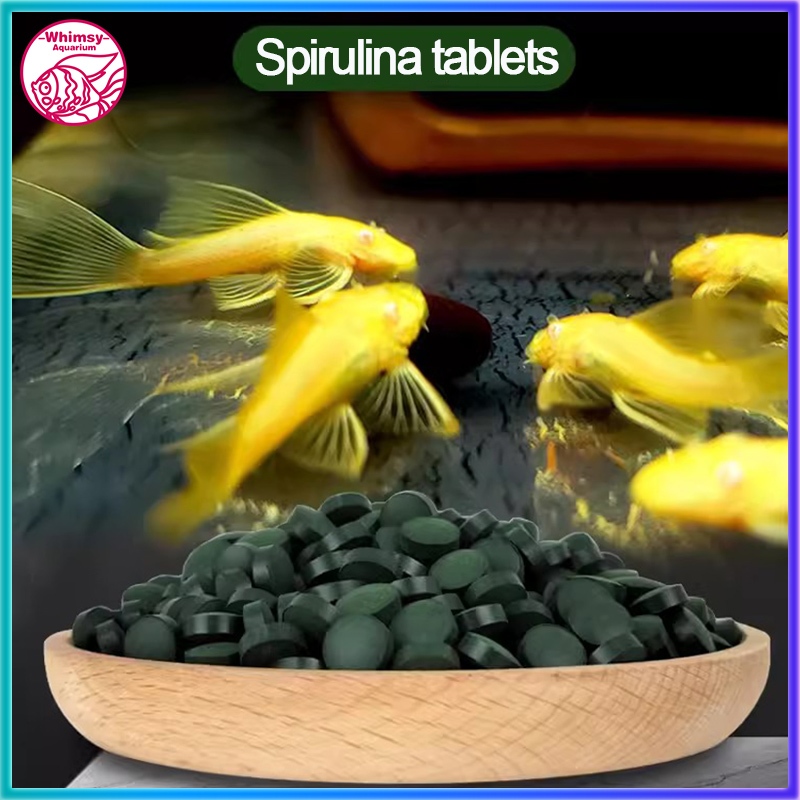 100Pcs Spirulina Tablet Food For Aquarium Spirulina For Fish Color ...