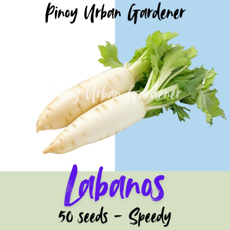 LABANOS SEEDS ( 50 SEEDS ) | Shopee Philippines