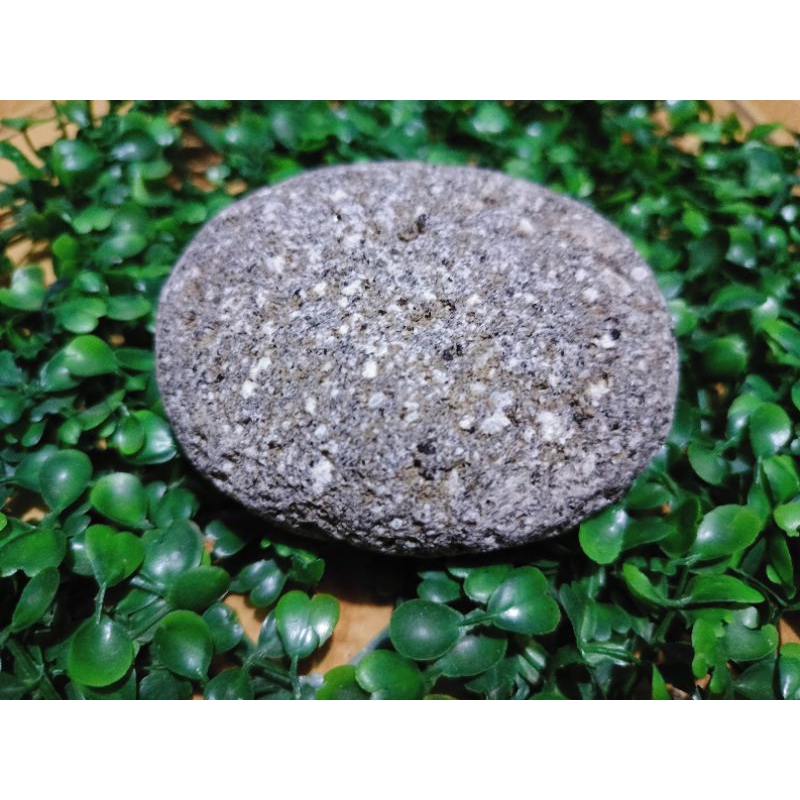 batong panghilod for adults (large) | Shopee Philippines