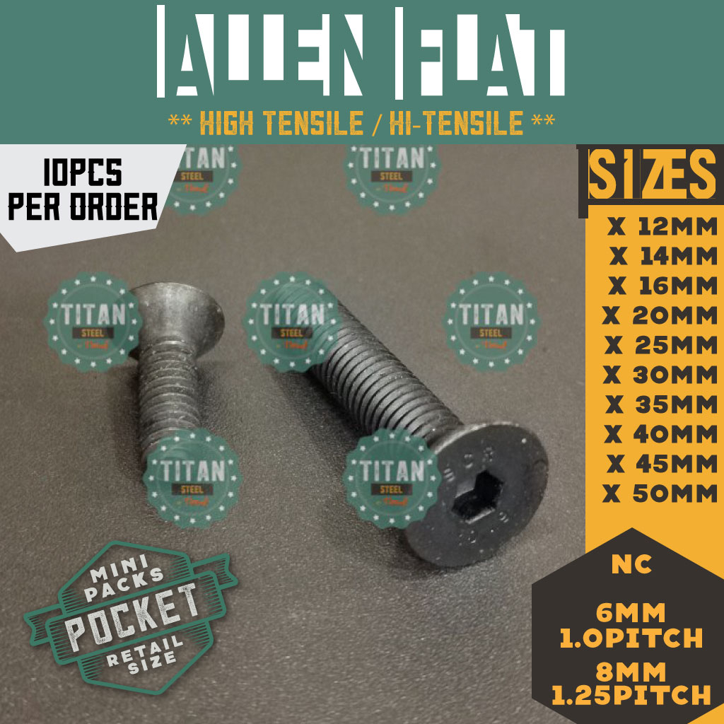 10 pcs - 6MM M6 (1.0p) 8MM M8 (1.25 p) Allen Flat Head / Socket Bolt ...