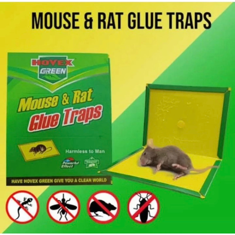 mouse trap (glue trap) Shopee Philippines