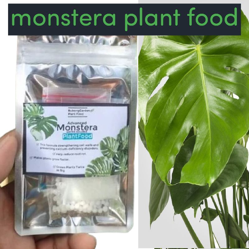 MONSTERA PLANT FOOD REGENERATOR Shopee Philippines