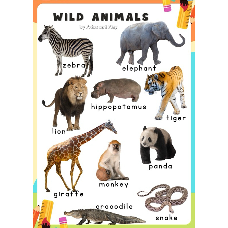 Laminated Learning Chart for Kids - ANIMALS | Shopee Philippines