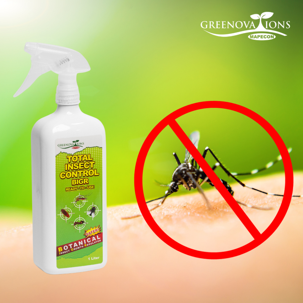 MAPECON BIG-R Total Insect Killer - BUNDLE OF 3 | Shopee Philippines