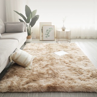 Super Soft Fluffy Rug Home Decor Floor Mat Gradient Color Carpets Living  Room Bedroom Carpet Coffee Table Sofa Mat Hallway Floor Mats Doormats