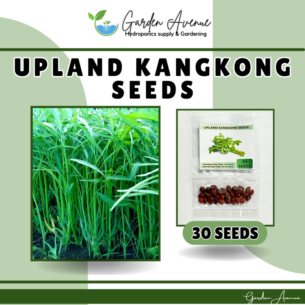 Sulit Pack Uplandlowland Kangkong Seeds 30 Seeds Shopee Philippines