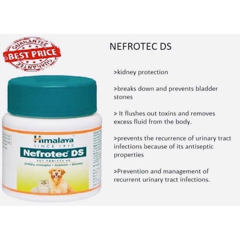 All Stages Adult Puppy 60 tablets Himalaya Nefrotec Ds For Dogs And ...