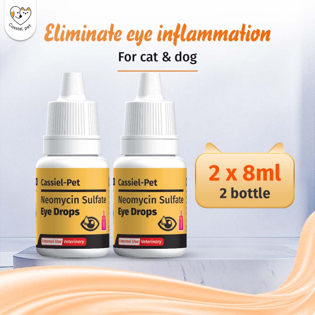 CASSIEL PET Gentamicin Sulfate Eye Drops For Infection For Dogs & Cats