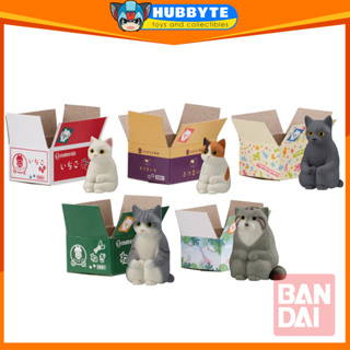 Set of Cat Figure Toys Figurines Collectibles Cats Model Decor Toy