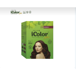 Icolor Shampoo-in Hair Color (Burgundy) | Shopee Philippines