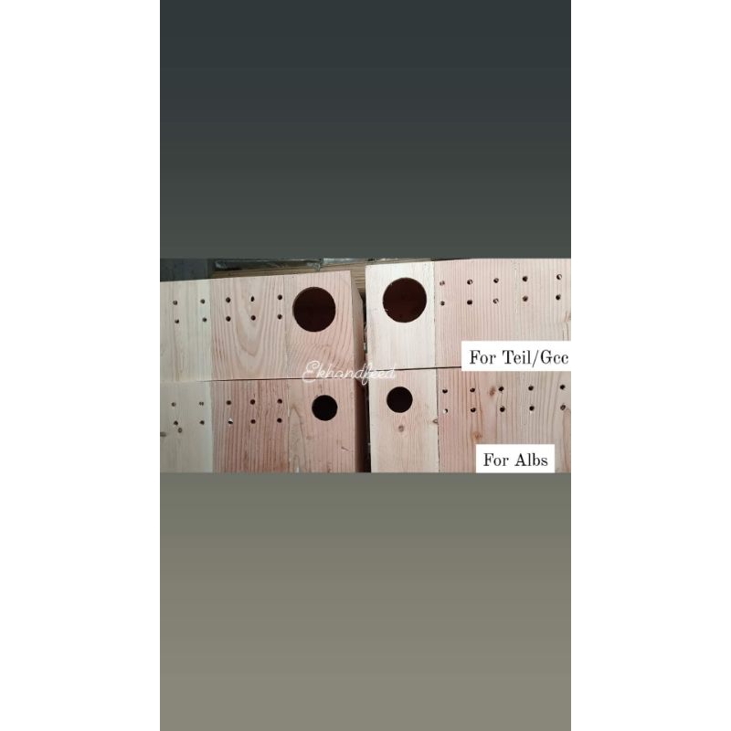 8X16 HIGH QUALITY PALOCHINA NESTBOX FOR ALBS AND TEILS | Shopee Philippines