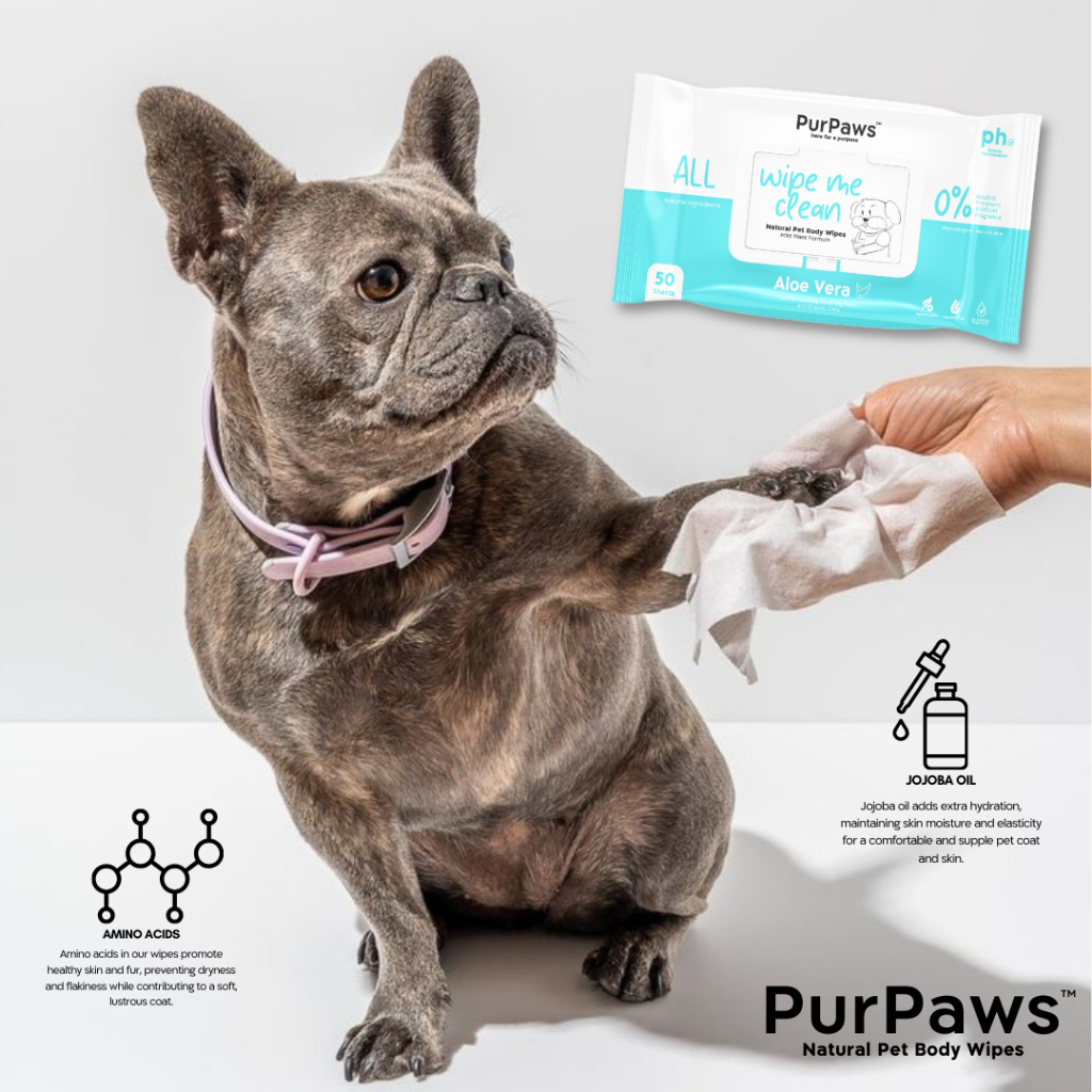 PurPaws Natural Hypoallergenic Pet Wipes For Dogs & Cats With Added Amino Acids & Aloe Vera