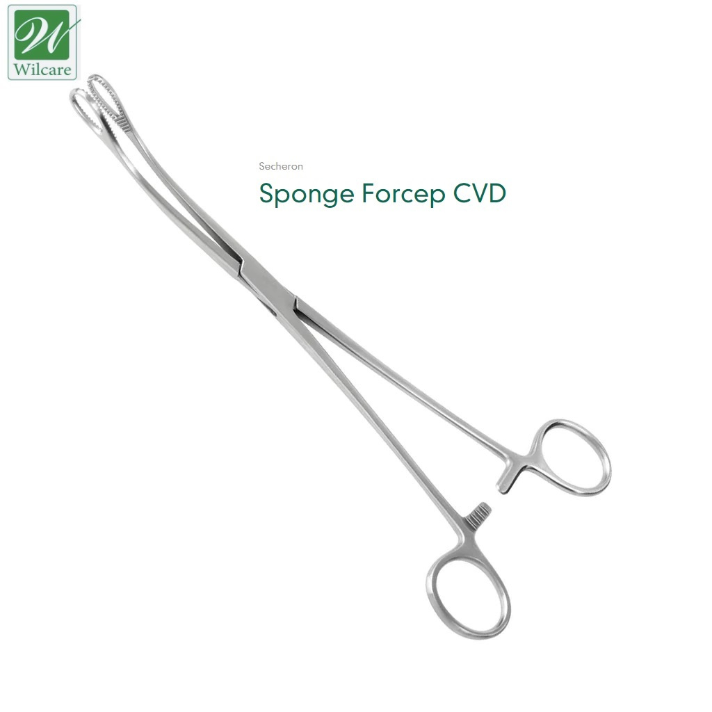 Sponge Ovum Forceps 9 1/2