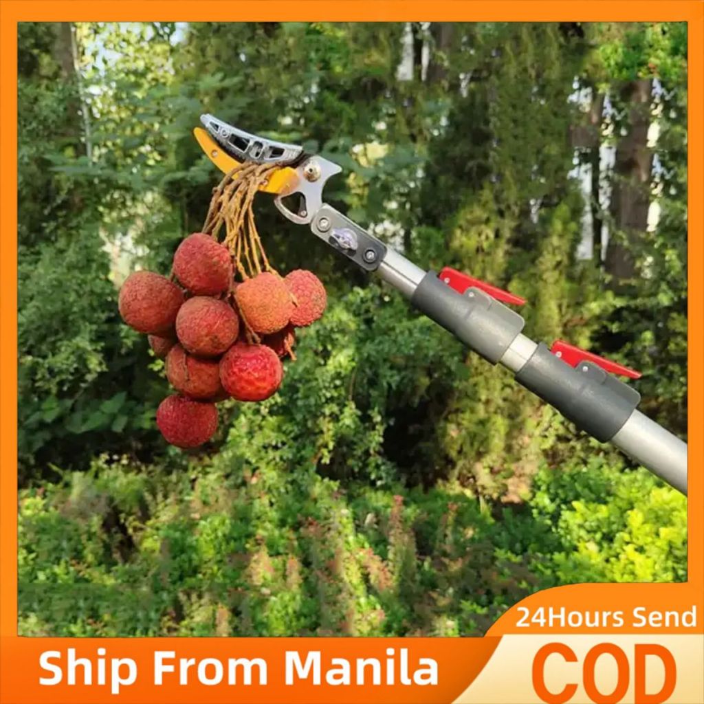 CONE Garden Scissors Pruning Tool fruit picker Altitude for Pruning ...